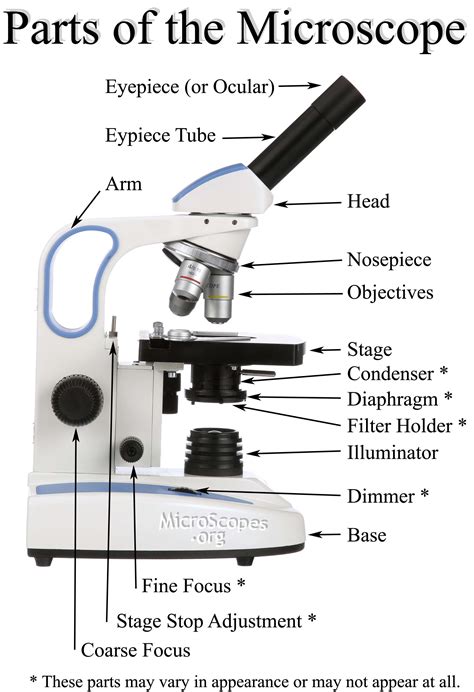How To Buy The Right Microscope Microscopesorg