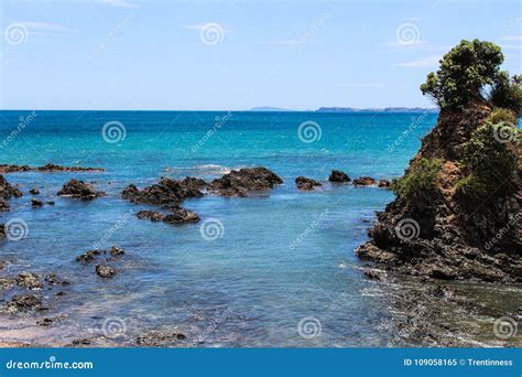 Spiaggia Della Nuova Zelanda Di Estate Immagine Stock Immagine Di