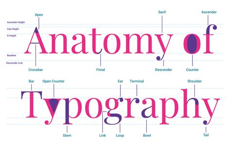 Design Elements Typography Webdelve