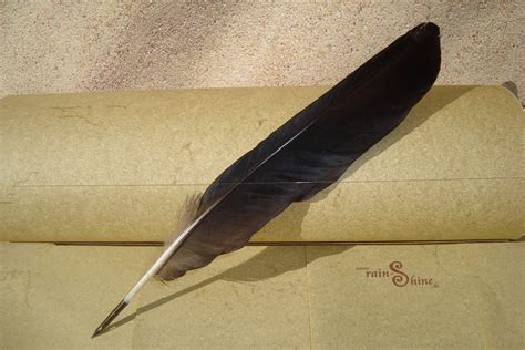 Mujer sosteniendo plumas de pavo real. ¿Te gustaría escribir con una pluma de ganso? - Inspirulina.comInspirulina.com