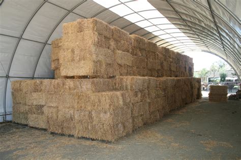 Basics Of Hay Storage Equimed Horse Health Matters