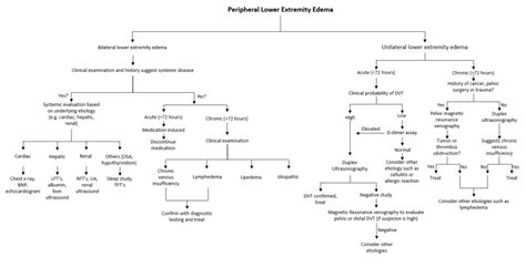 Figure Peripheral Edema Algorithm Contributed And Modified By