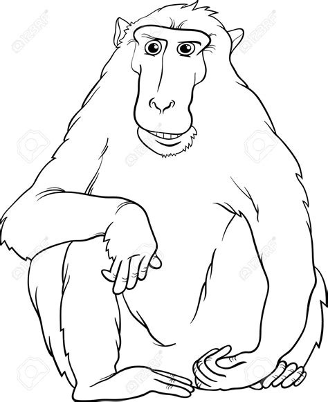 Primate Coloring Download Primate Coloring For Free 2019