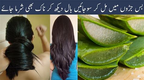 Check the tips and homemade oil for hair issues, but in this week i will upload oil treatment for hair loss. No One Can Skip This Hair Growth In A Week Challenge In ...