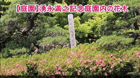 【庭園】湧永満之記念庭園内の花木 youtube