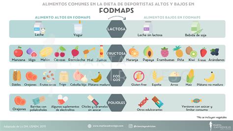 Dieta Baja En Fodmaps Y Problemas Gastrointestinales En Deportistas