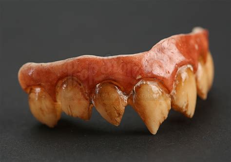 Sharp Dentures Prop Store Ultimate Movie Collectables