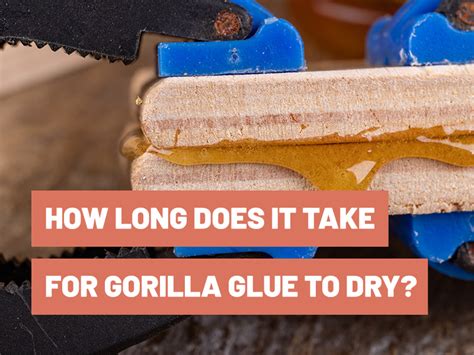 How Long Does Gorilla Glue Take To Dry Gluetips