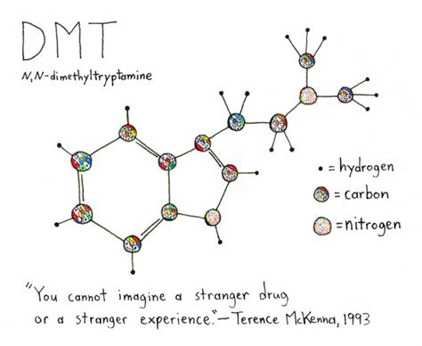 Dmt The Spirit Molecule Psykedelia