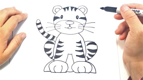 Como Dibujar Un Tigre Para Ni Os Dibujo De Tigre Paso A Paso Youtube