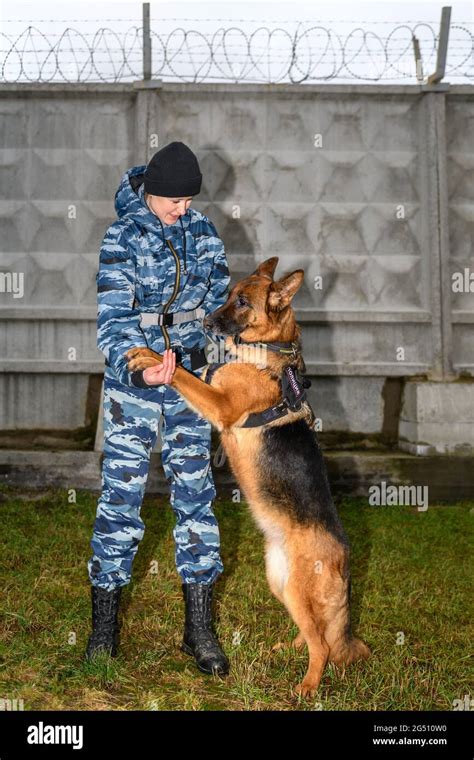 Female Police Officers With A Trained Dog German Shepherd Police Dog