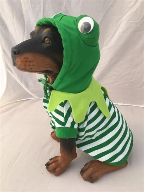 Frog Dog Costume Rockstar Puppy Boutique