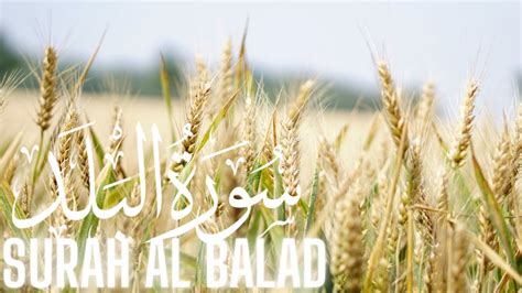 Surah Al Balad Full With Arabic Text سورة البَلَدْ مكتوبة Youtube
