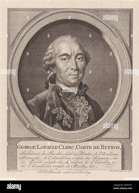 Portrait Of Georges Louis Leclerc Count The Buffon George Louis Le