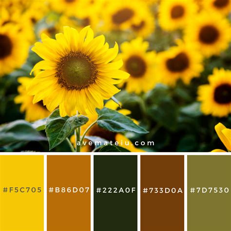 Beautiful Blossom Sunflowers In The Field Color Palette 306 Ave