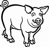 Clipart Pig Hog Coloring Drawing Mammals Transparent Piglet Line Boar Wild Collection Ai Svg Webstockreview Lineart Eps Clipartmag Pinclipart Found sketch template