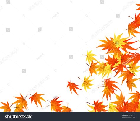 Autumn Frame With Falling Maple Leaves On White Background
