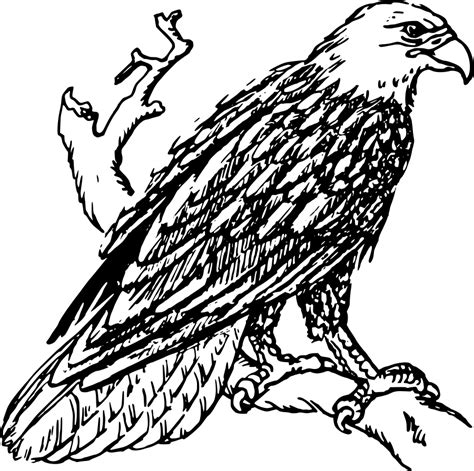 Free American Eagle Cliparts Download Free American Eagle Cliparts Png Images Free ClipArts On