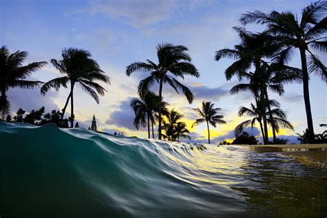 Palm Beach Sea Shore Ocean Tree Waves Sun Photos