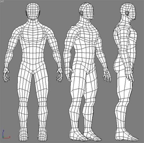 Male 3d Modeling Reference Sheet