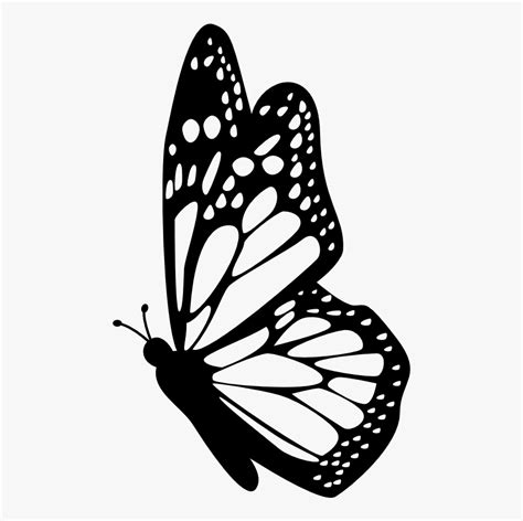 Interesting Facts About Butterflies Butterfly Outline Side View