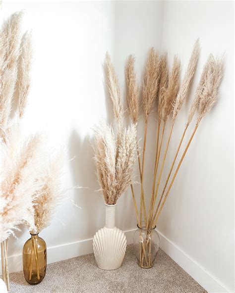 Pampas Grass In All Shapes In Sizes Home N Decor Diy Decor Room Decor