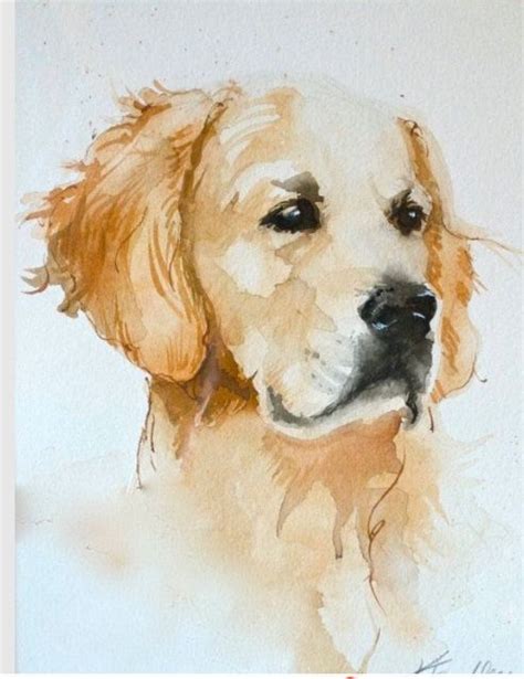 Pin By Lisa Tuttle On Animals Golden Retriever Watercolor Watercolor