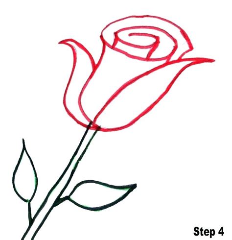 Open Rose Drawing Step By Step Free Download On Clipartmag