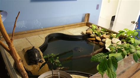 Great Concept For An Indoor Turtle Pond We Recommend About 10 Gallons