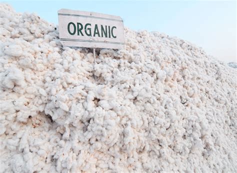 Spinners World Organic Cotton