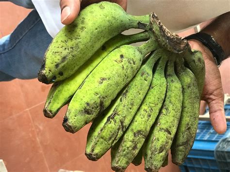 Virupakshi Bananas Food Forward India