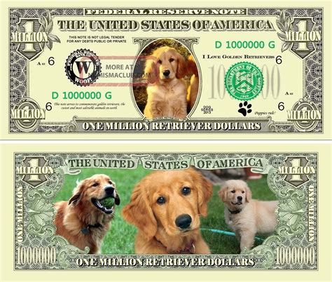 Golden Retriever Puppy Dog Novelty Million Dollar Bills Petanimal