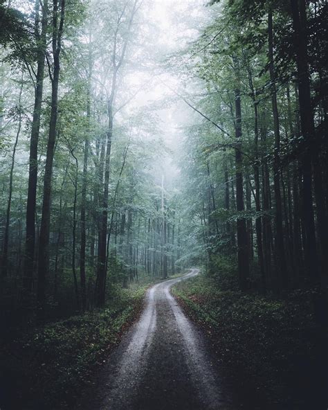 🇩🇪 Foggy Path In The Forest Thüringen Germany By Johannes Hulsch