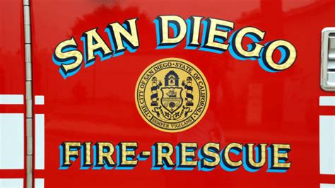 We grow bamboo, platyceriums, orchids, palms, cycads, camellias and more but especially daylilies. 5 Displaced, Cat Killed By Fire Inside Garage of Bay Ho ...