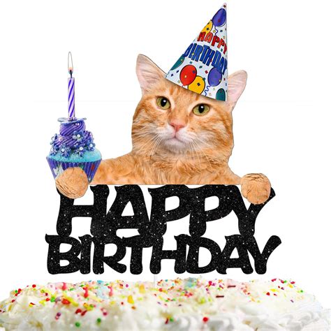 Happy Birthday Cat Images