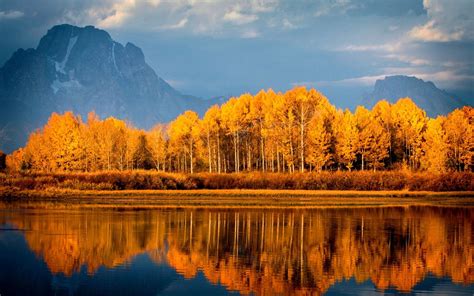 3840x2400 Autumn Trees On Lake 4k Hd 4k Wallpapers Images Backgrounds
