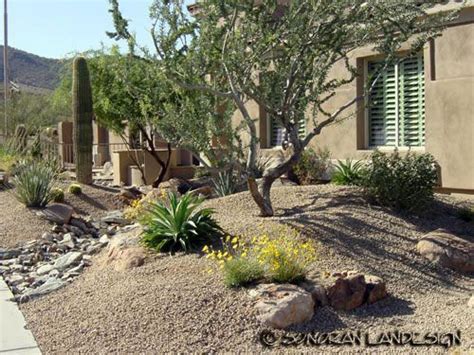 Arizona Desert Landscaping Design Sonoran Landesign Bio Garten