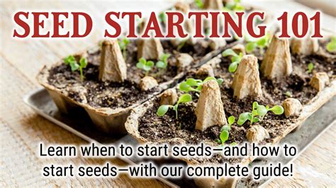 How And When To Start Seeds Indoors The Old Farmers Almanac