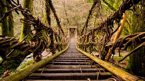 Vine Bridge Oku Iya Beautiful Places In Japan Shikoku Japan