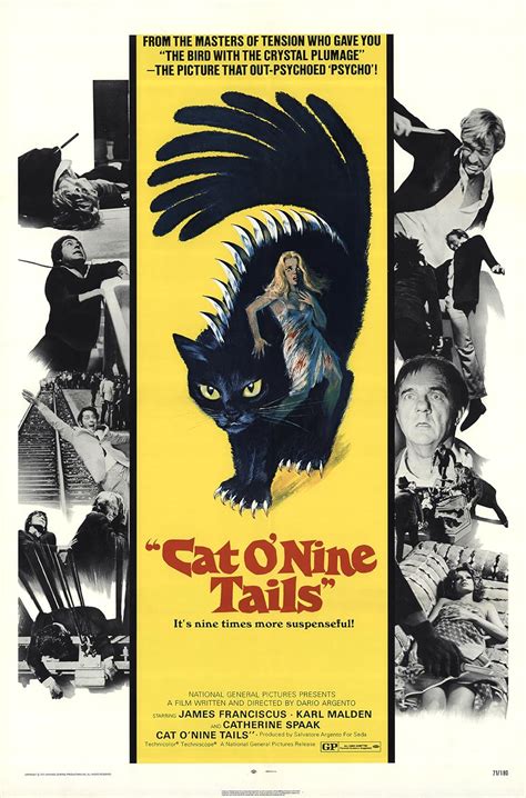 The Cat O Nine Tails 1971 Imdb
