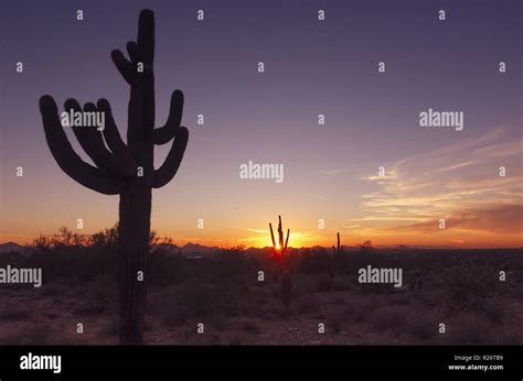 Arizona Desert Sunset Landscape Stock Photo Alamy