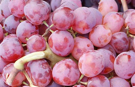 11 Popular Grape Varieties