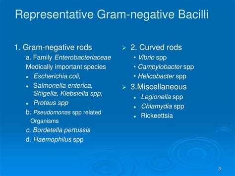 Ppt The Gram Negative Bacilli Of Medical Importance Powerpoint Presentation Id