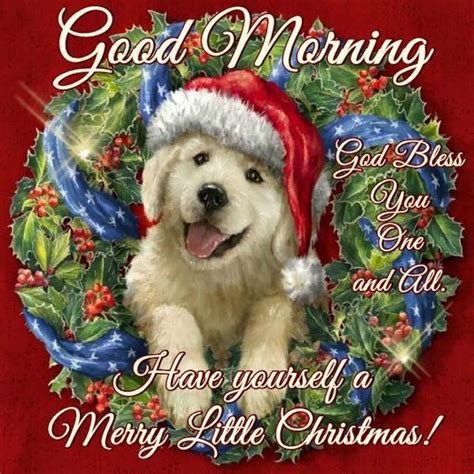This is good morning, merry christmas by alison, walter, and maybelle on vimeo, the home for high quality videos and the people who love them. Good Morning, Have Yourself A Merry Little Christmas ...