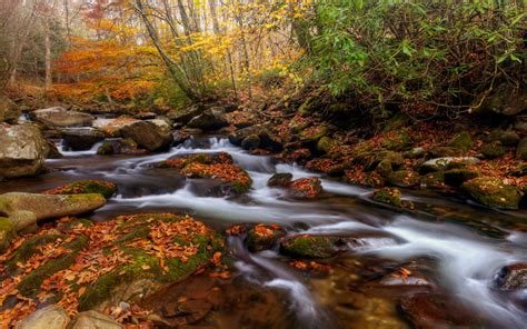 Rocky Stream In Autumn Forest