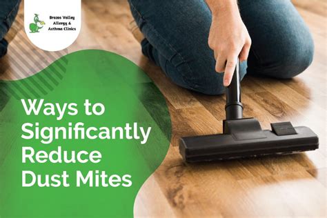 Ways To Significantly Reduce Dust Mites