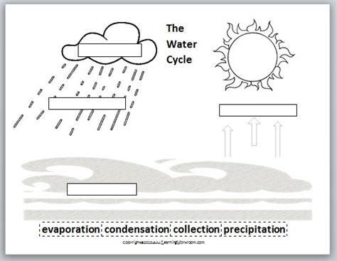 Simple Water Cycle Worksheet Images And Pictures Becuo