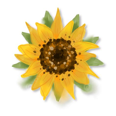 Sunflowers Stickers Clipart Vector Loose Watercolor Sunflower Clipart