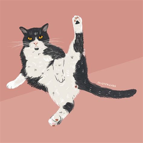12 Cute Tuxedo Cat Drawing Aleya Wallpaper