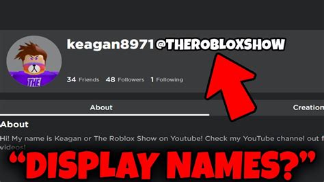 Roblox Display Name Ideas